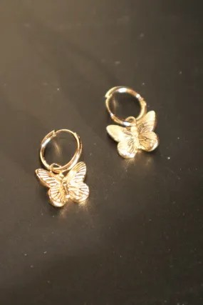 18K Gold stainless steel Butterfly Earrings